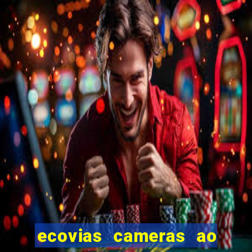 ecovias cameras ao vivo santos